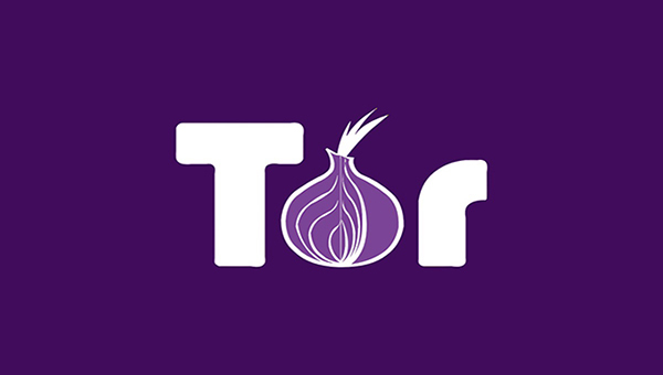 Hide IP Address via Tor Browser